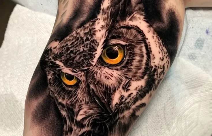 Owl Tattoo: A Comprehensive Guide to Designs, Symbolism