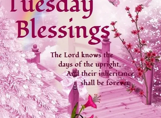 Tuesday Blessings: Embrace Gratitude and Positivity